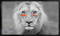 Humanimal Lion - Orange
