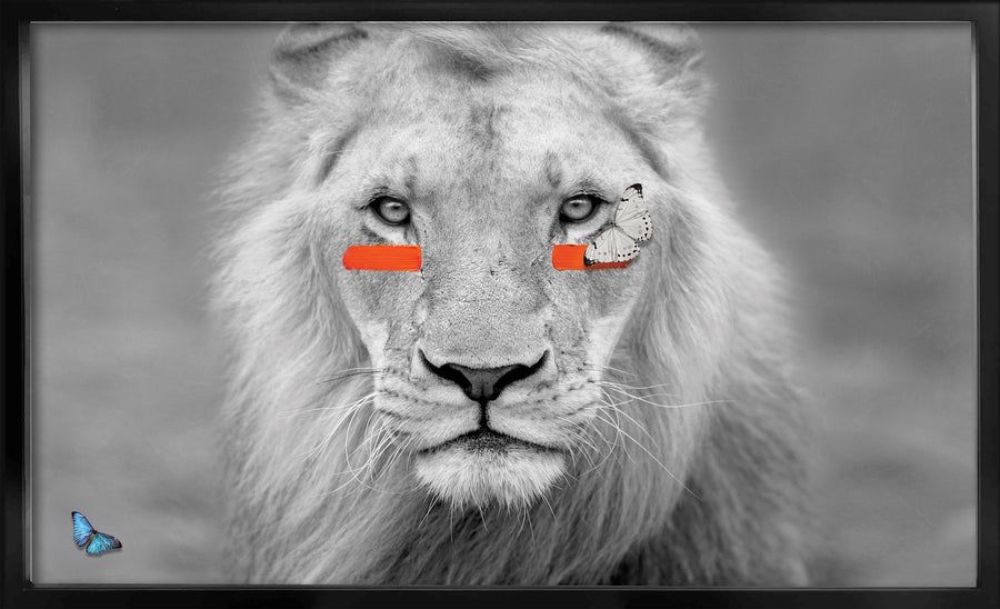 Humanimal Lion - Orange