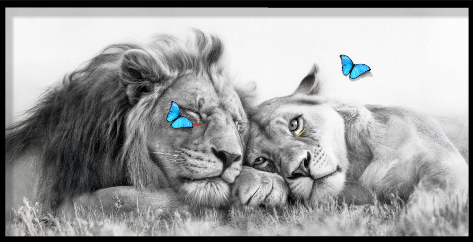 Lost in Love