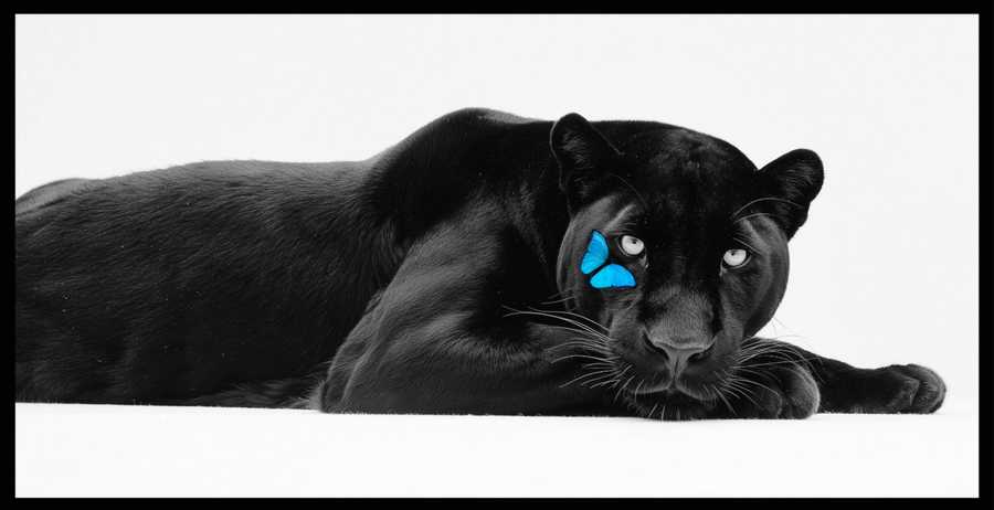 Black Panther