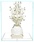 White Pure White Pearl
