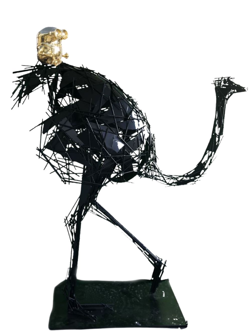 Ostrich Bob Tail Riding