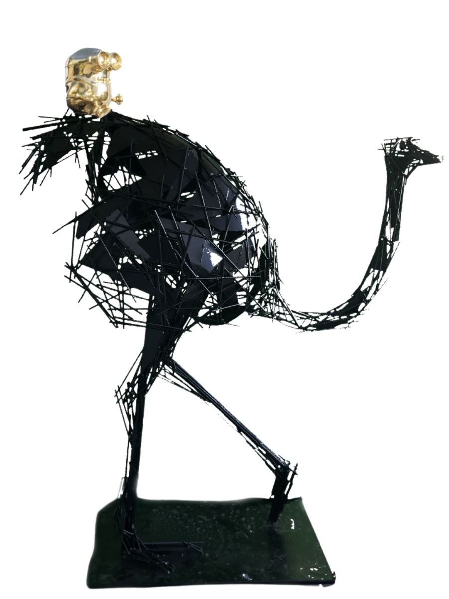Ostrich Bob Tail Riding