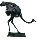 Ostrich Stand Low