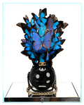 Blue Indonesia Black Pearl