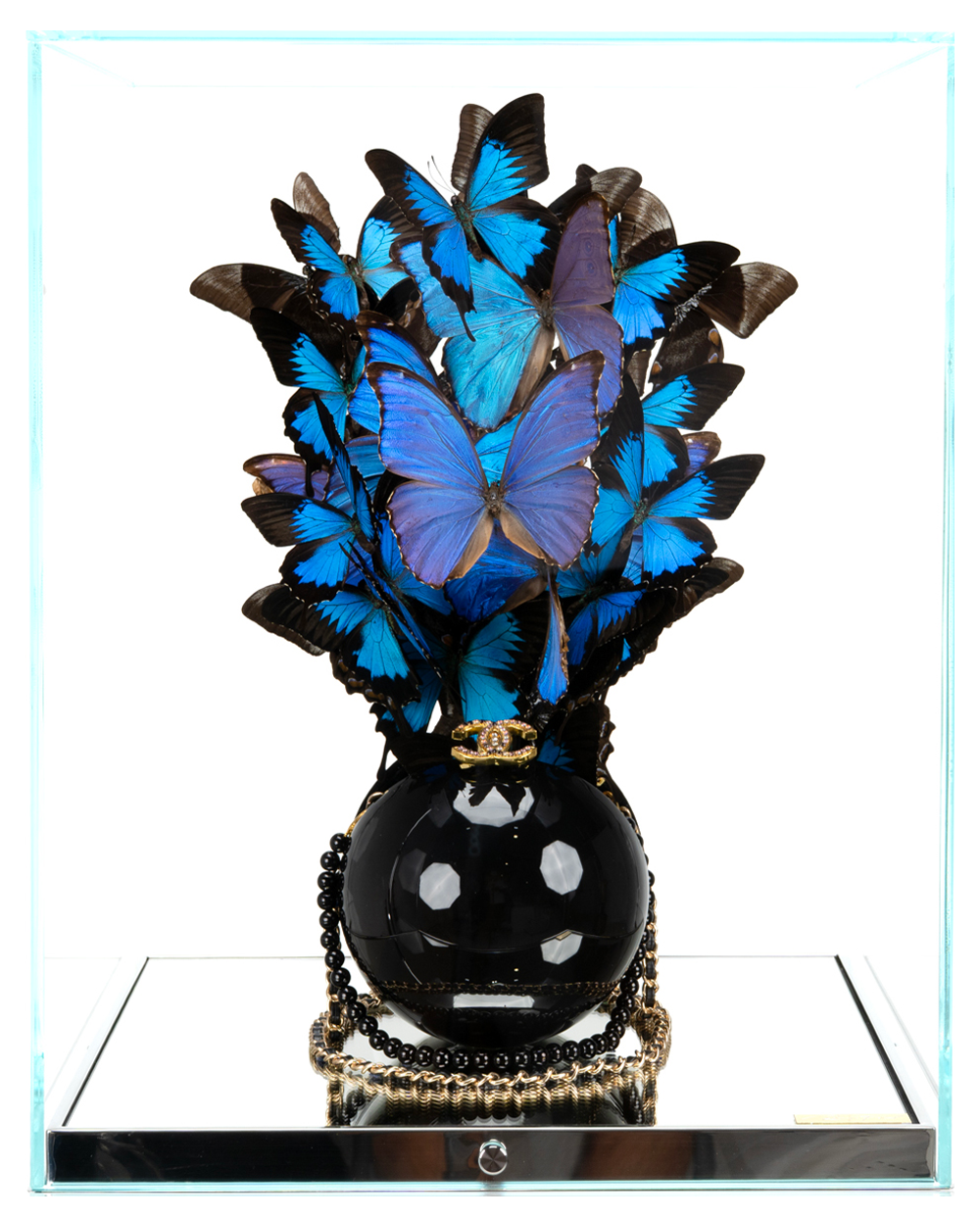 Blue Indonesia Black Pearl