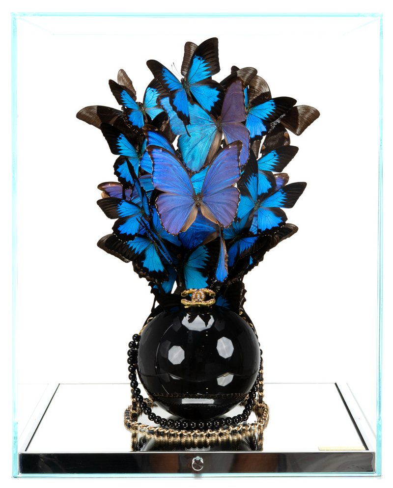 Blue Indonesia Black Pearl