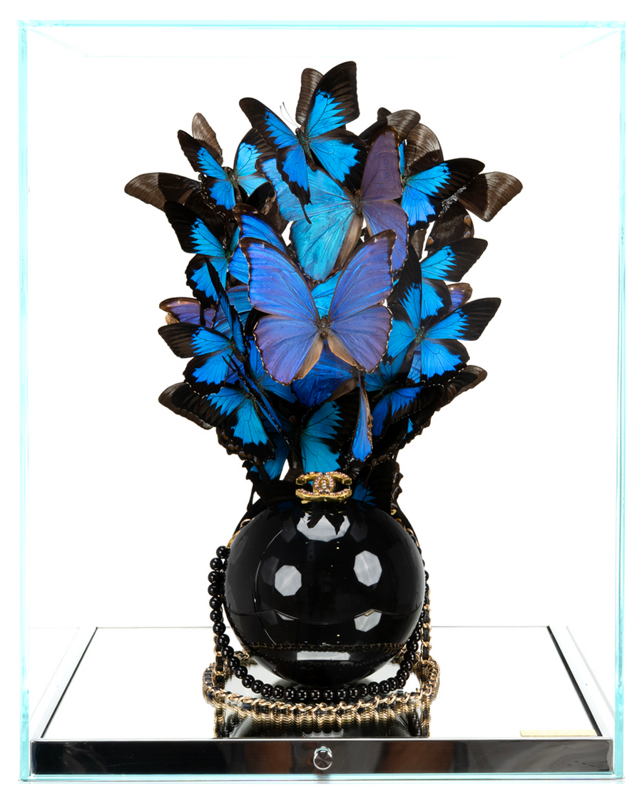 Blue Indonesia Black Pearl