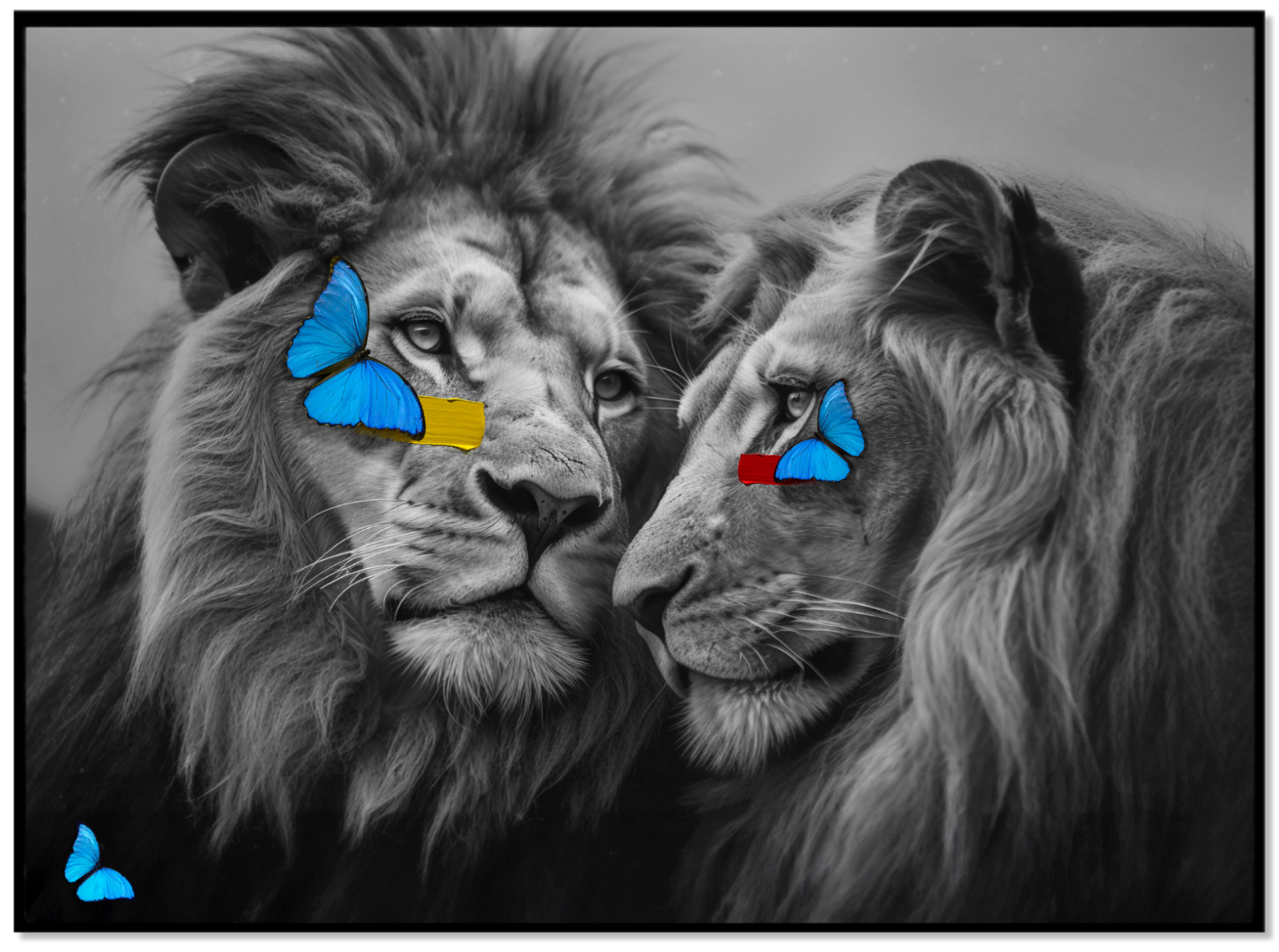 Me and You - Lions