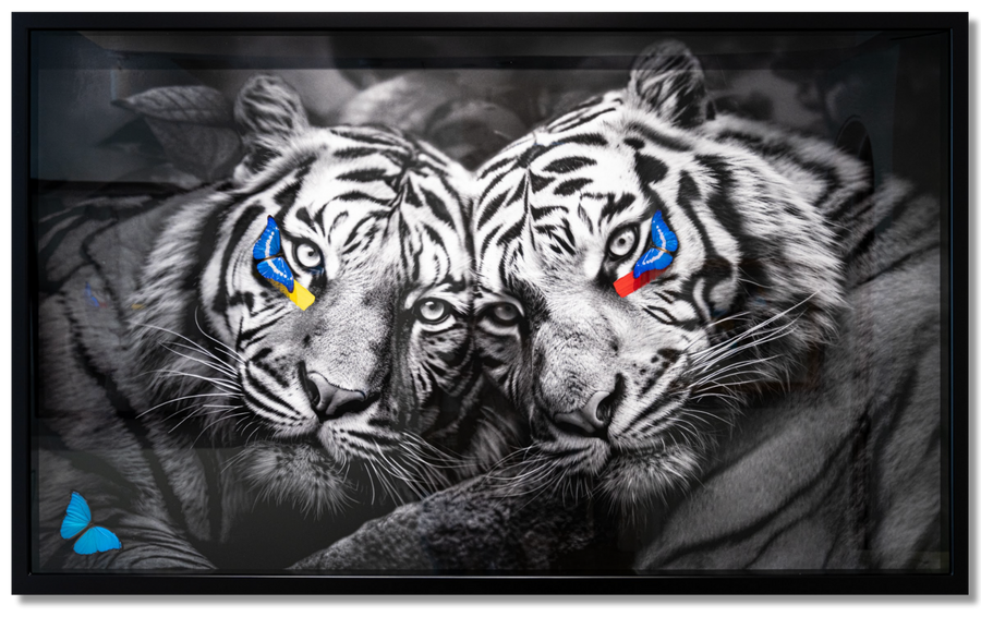 You and I - Two Tigers