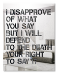 I Disapprove of What You Say...
