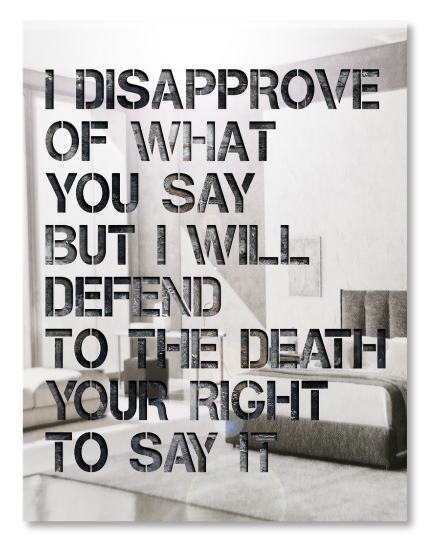 I Disapprove of What You Say...