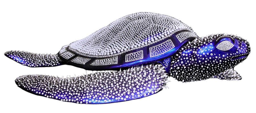 Turtle Blue