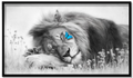 Sleeping Lion