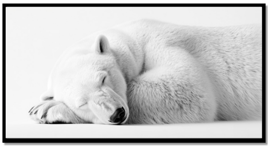 Polar Bear