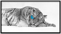Sleeping Tiger
