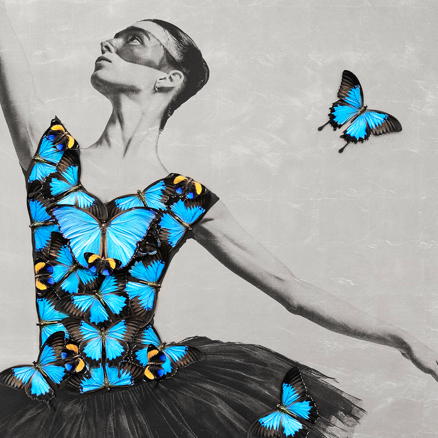 Palladium Ballerina Triptych
