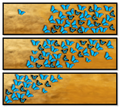 Changes Triptych Horizontal