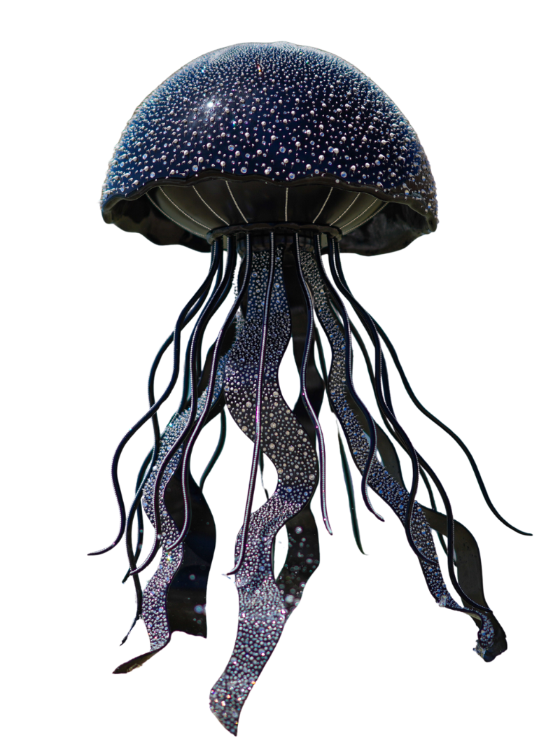 Meduse Black