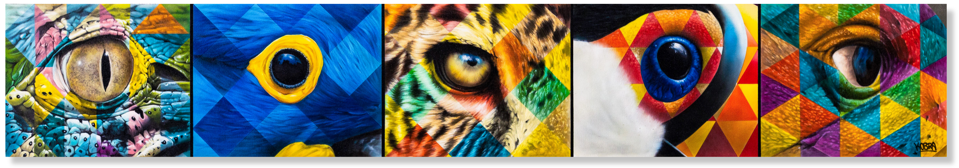 Animals Eyes