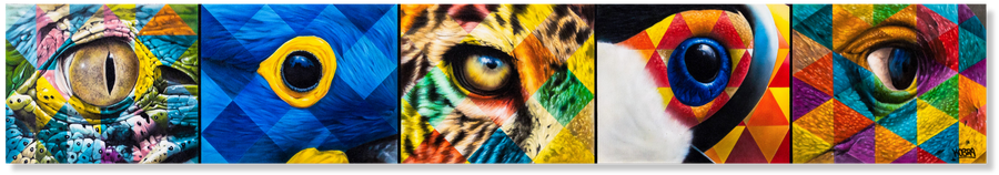 Animals Eyes