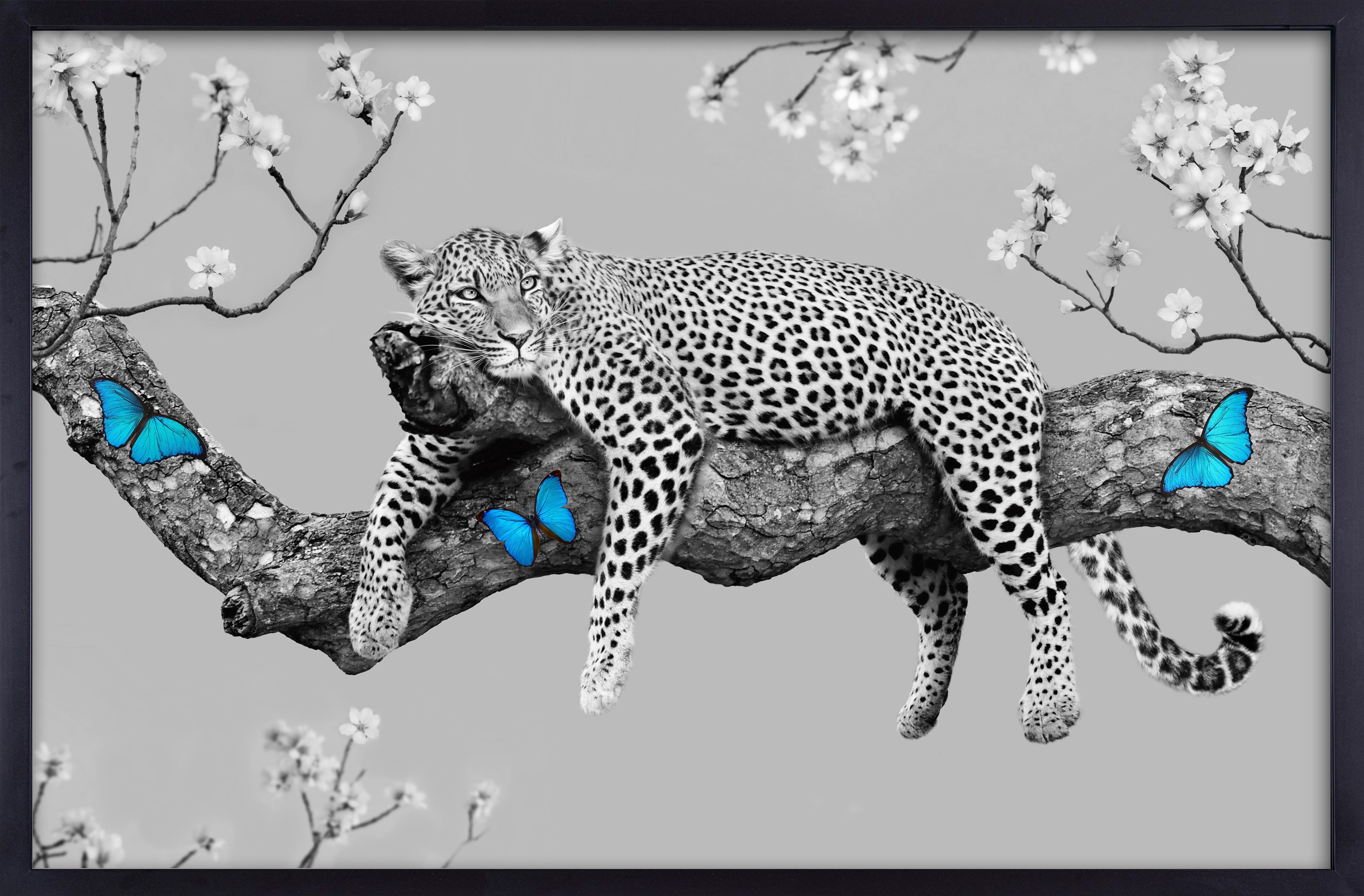 The Cheetah on a Tree