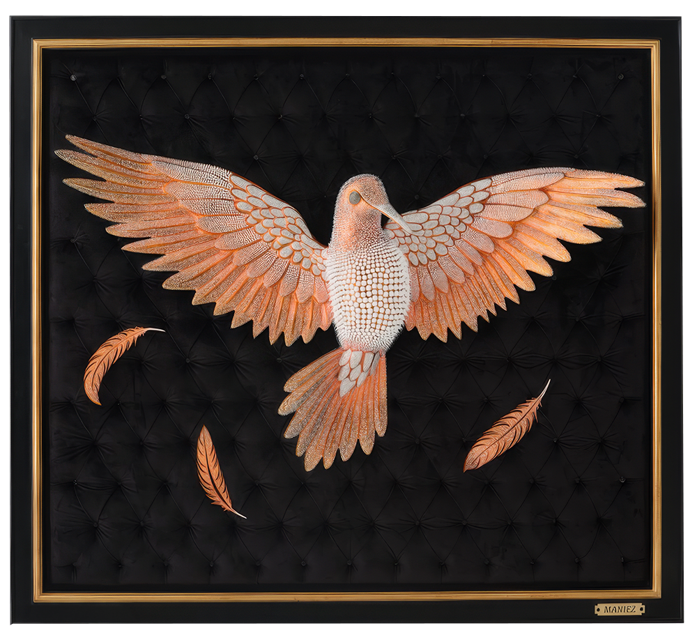 Colibri