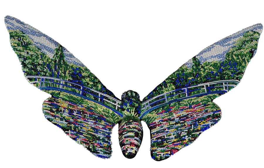 Butterfly - Let's Cross