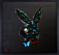 Black Playboy