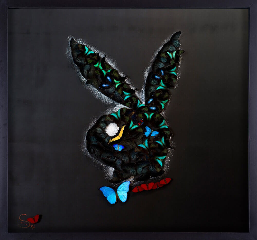 Black Playboy
