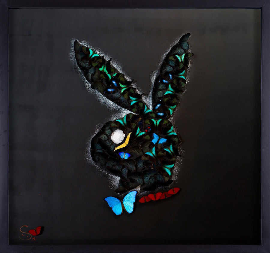 Black Playboy