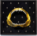 Jaws