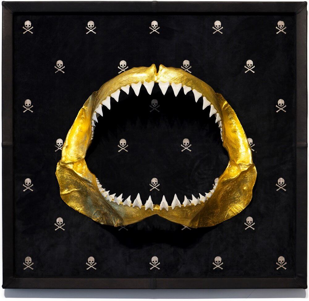 Jaws