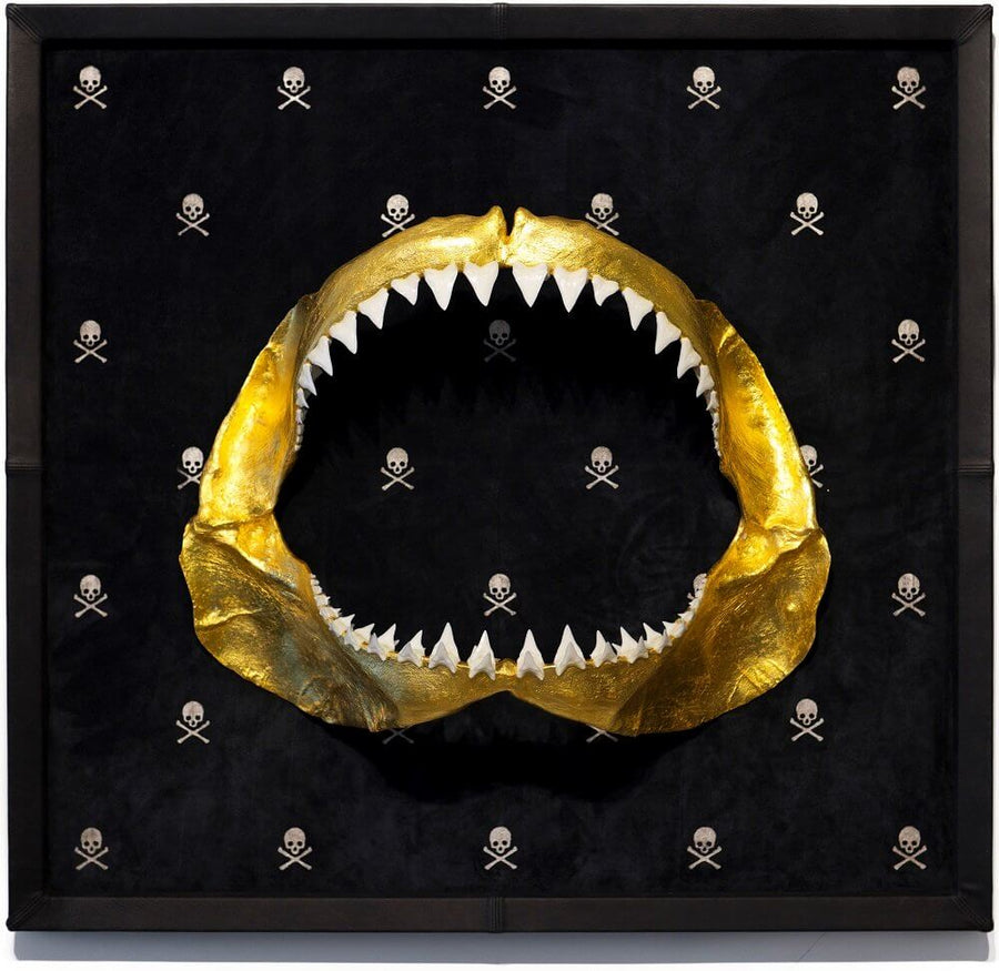 Jaws