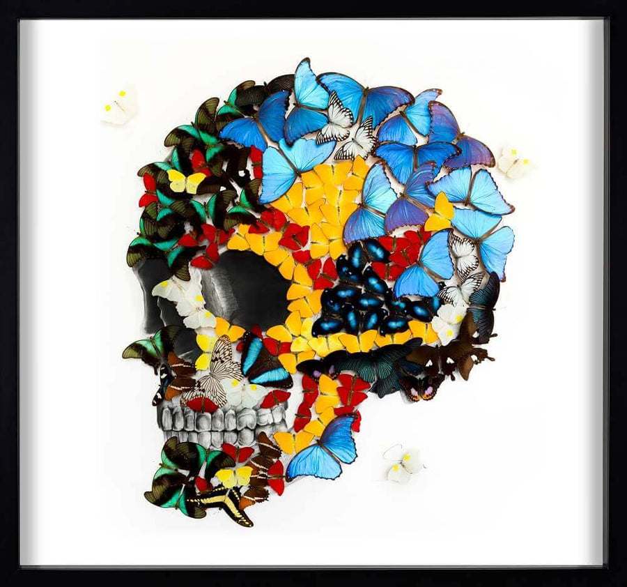 Profile Skull II