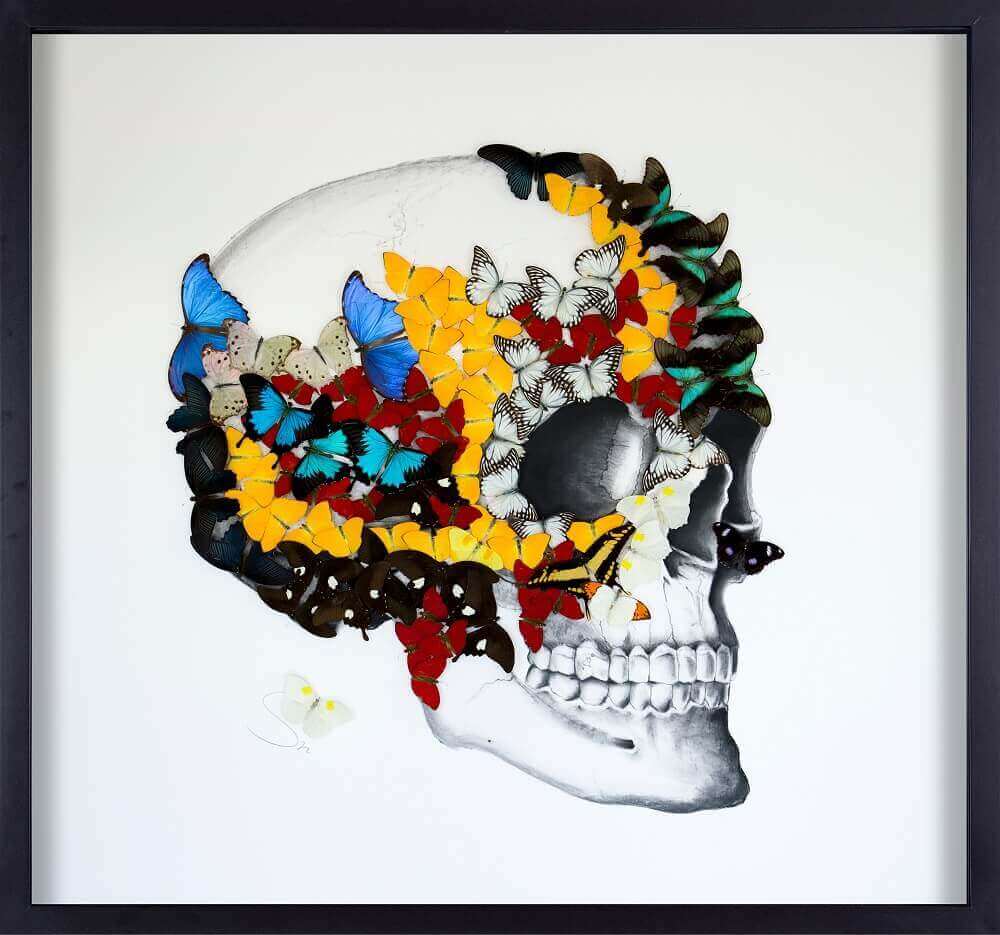 Half Full Skull – Profile