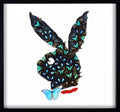 PLAYBOY
