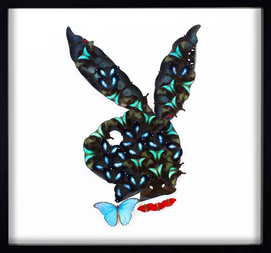 PLAYBOY