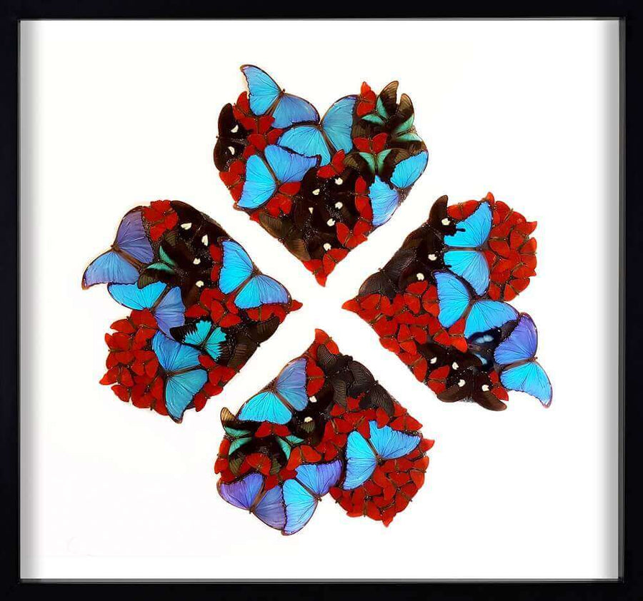 Butterfly Lucky Charm