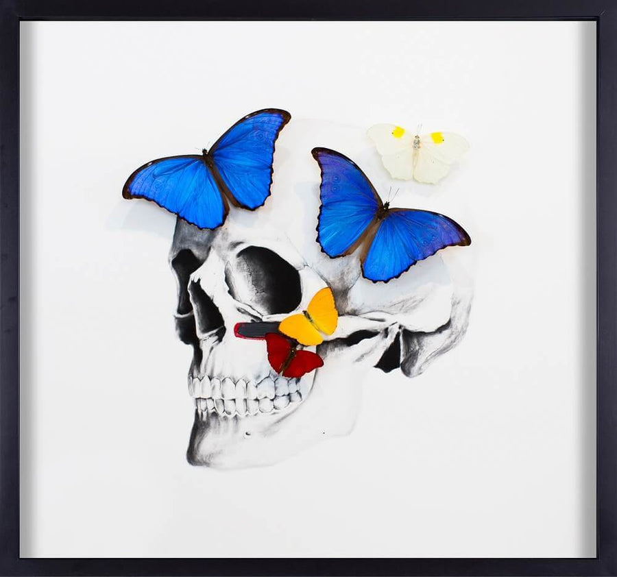Empty Skull