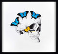 4 The Skull