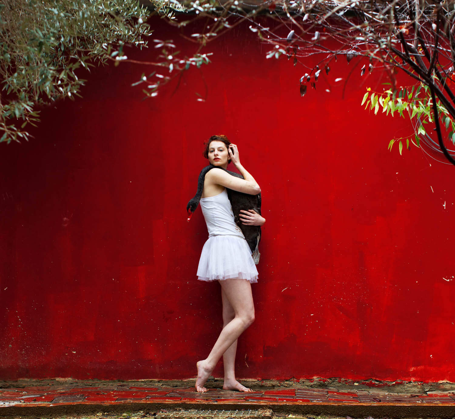 Black Swan
