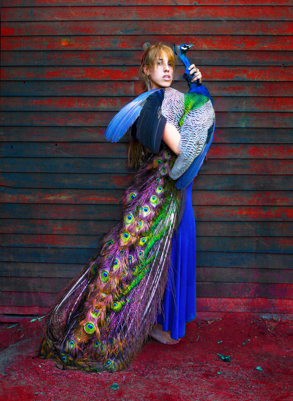 Girl With a Peacock