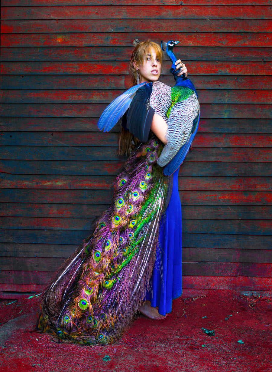 Girl With a Peacock