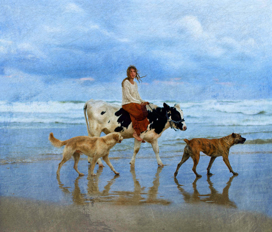 Home by the Sea