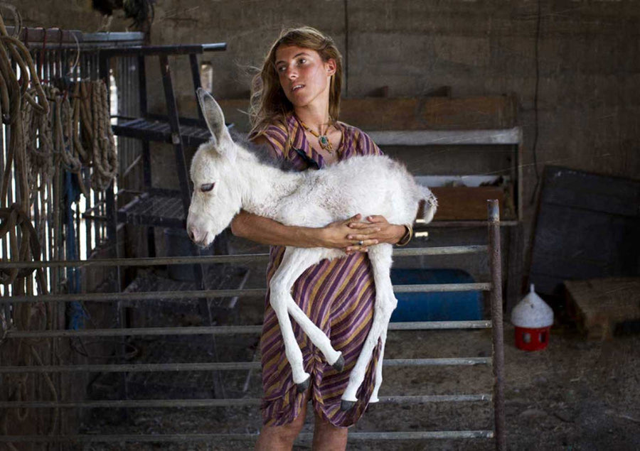 A Girl and a Foal