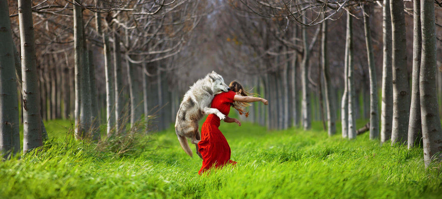 Little Red Riding Hood