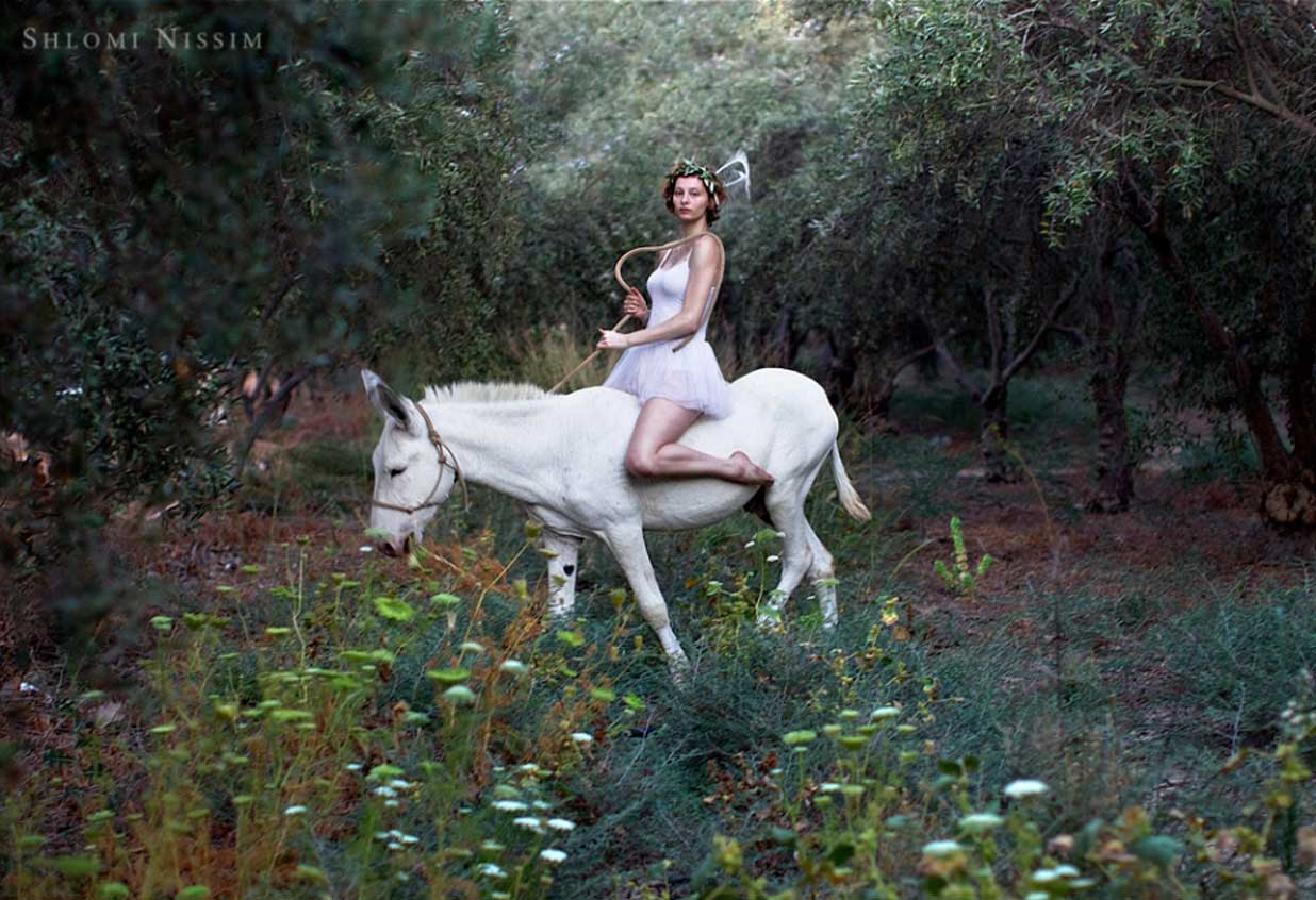 Messenger On a White Donkey
