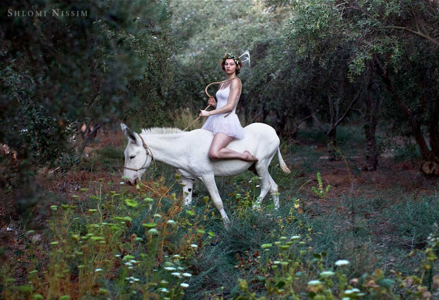Messenger On a White Donkey
