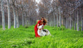 Little Red Riding Hood – The Real Story